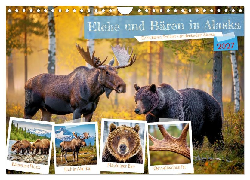 Elche und Bären in Alaska (Wandkalender 2027 DIN A4 quer) CALVENDO Monatskalender