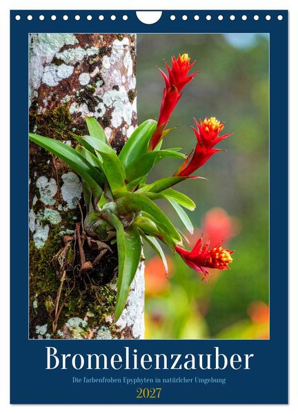 Bromelienzauber (Wandkalender 2027 DIN A4 hoch) CALVENDO Monatskalender