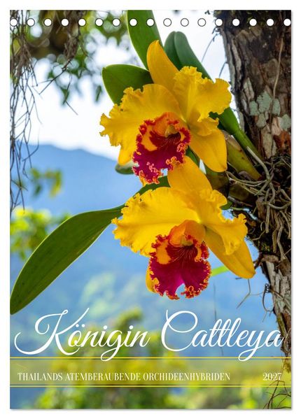Königin Cattleya (Tischkalender 2027 DIN A5 hoch) CALVENDO Monatskalender