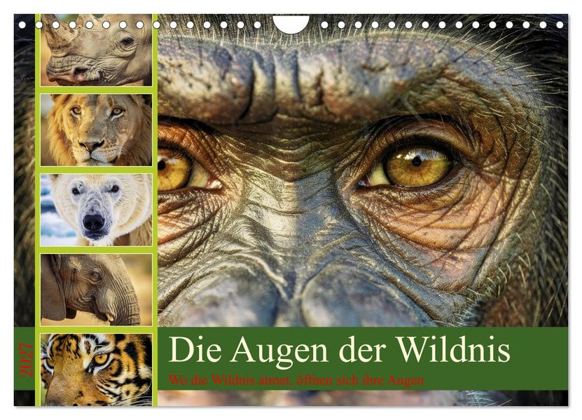 Die Augen der Wildnis (Wandkalender 2027 DIN A4 quer) CALVENDO Monatskalender