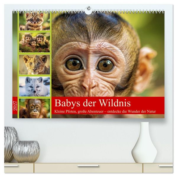 Babys der Wildnis (hochwertiger Premium Wandkalender 2027 DIN A2 quer) Kunstdruck in Hochglanz