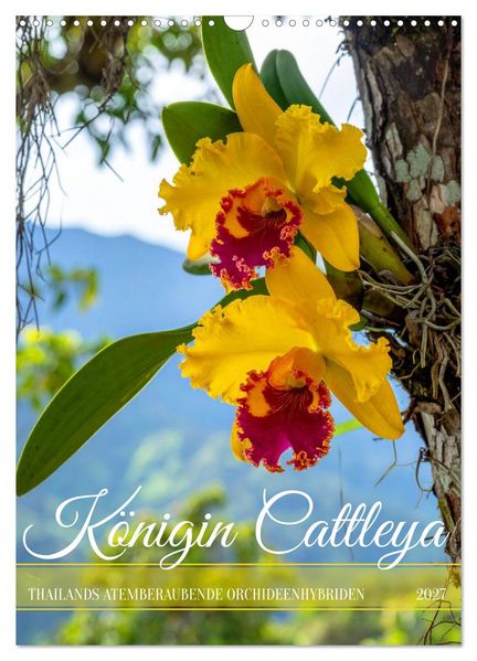Königin Cattleya (Wandkalender 2027 DIN A3 hoch) CALVENDO Monatskalender
