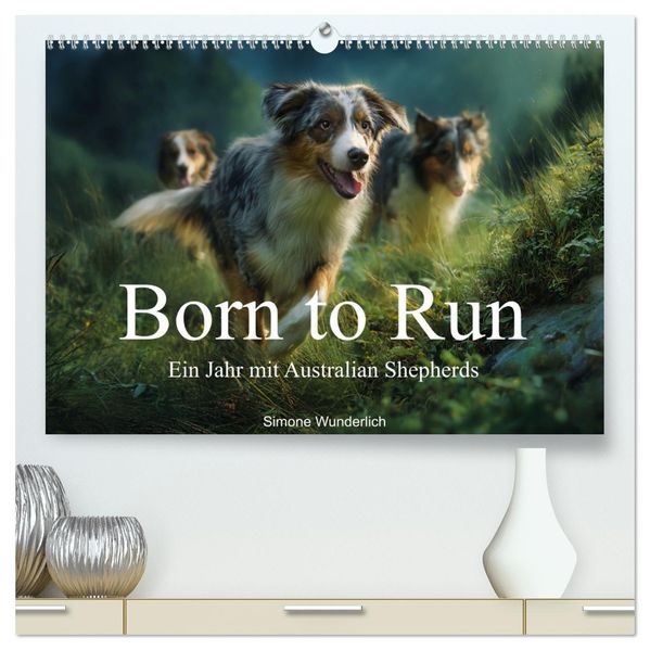 Born to run - Ein Jahr mit Australian Shepherds (hochwertiger Premium Wandkalender 2027 DIN A2 quer) Kunstdruck in Hochglanz