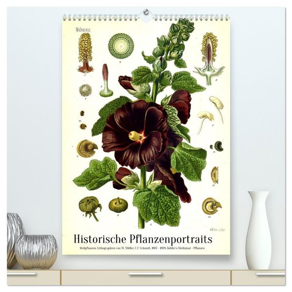 Historische Pflanzenportraits - Heilpflanzen Lithographien von W. Müller (hochwertiger Premium Wandkalender 2027 DIN A2 hoch) Kunstdruck in Hochglanz