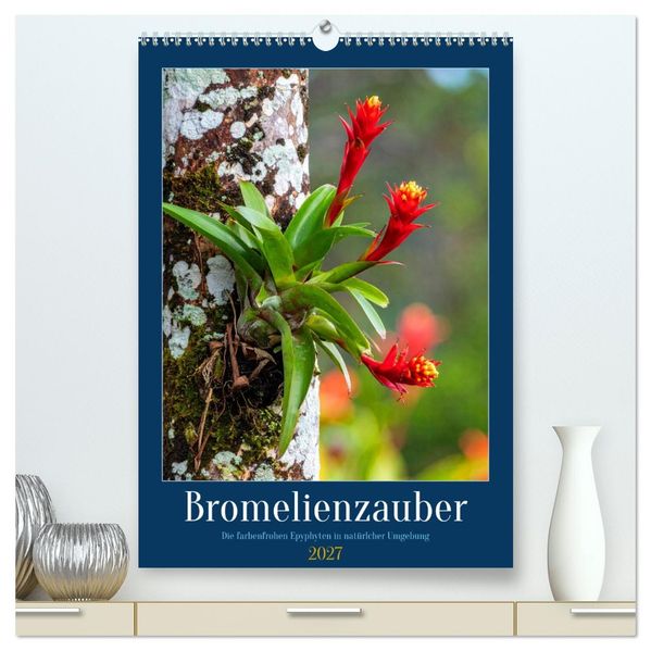 Bromelienzauber (hochwertiger Premium Wandkalender 2027 DIN A2 hoch) Kunstdruck in Hochglanz