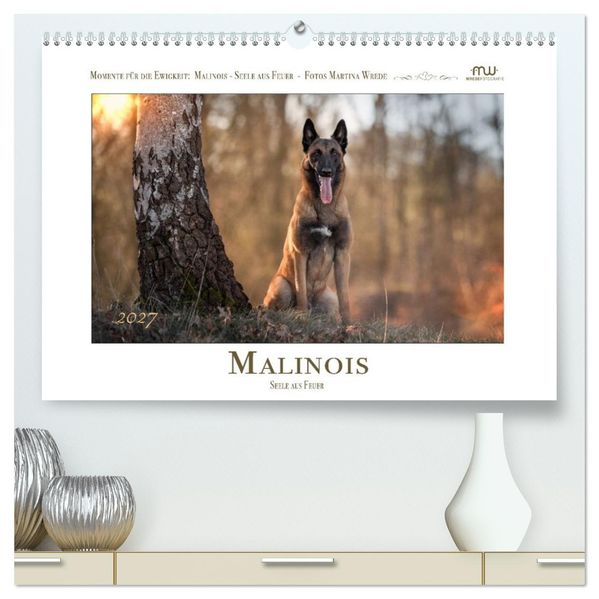 Malinois - Seelen aus Feuer (hochwertiger Premium Wandkalender 2027 DIN A2 quer) Kunstdruck in Hochglanz