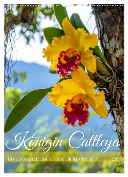 Königin Cattleya (Wandkalender 2027 DIN A2 hoch) CALVENDO Monatskalender