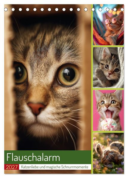 Flauschalarm (Tischkalender 2027 DIN A5 hoch) CALVENDO Monatskalender