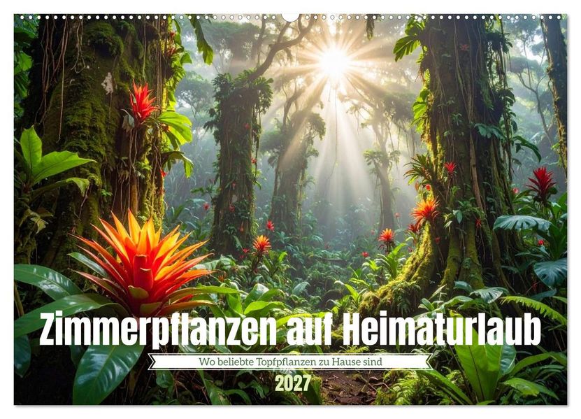 Zimmerpflanzen auf Heimaturlaub (Wandkalender 2027 DIN A2 quer) CALVENDO Monatskalender