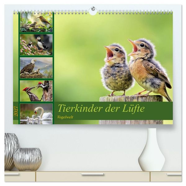 Tierkinder der Lüfte - Vogelwelt (hochwertiger Premium Wandkalender 2027 DIN A2 quer) Kunstdruck in Hochglanz