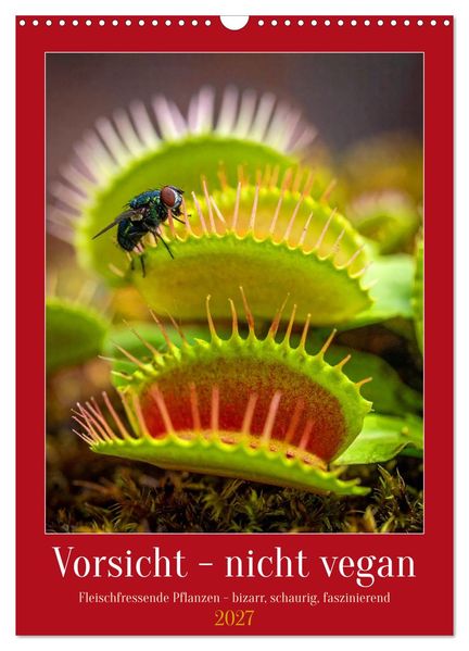 Vorsicht - nicht vegan (Wandkalender 2027 DIN A3 hoch) CALVENDO Monatskalender