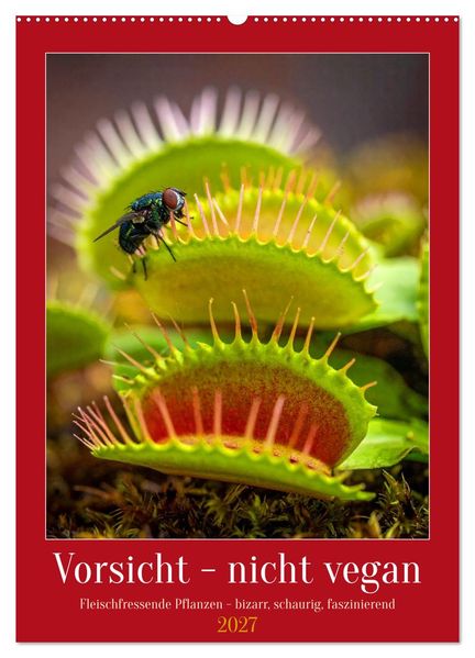 Vorsicht - nicht vegan (Wandkalender 2027 DIN A2 hoch) CALVENDO Monatskalender