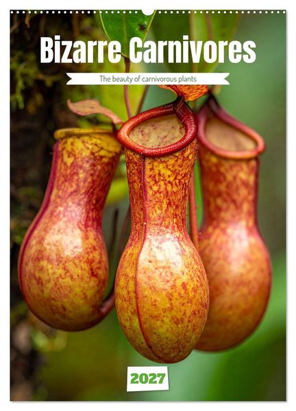 Bizarre Carnivores (Wall Calendar 2027 DIN A2 portrait) CALVENDO 12 Month Wall Calendar