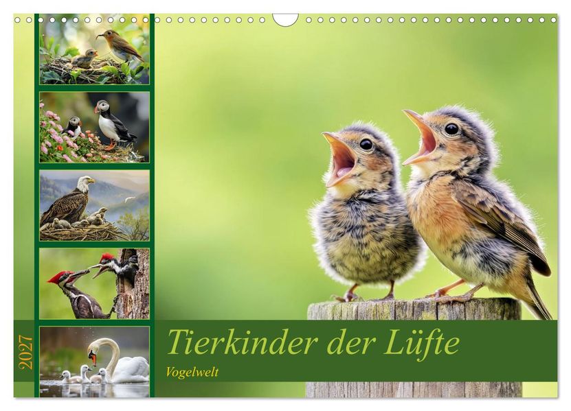 Tierkinder der Lüfte - Vogelwelt (Wandkalender 2027 DIN A3 quer) CALVENDO Monatskalender