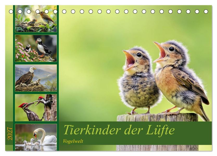 Tierkinder der Lüfte - Vogelwelt (Tischkalender 2027 DIN A5 quer) CALVENDO Monatskalender