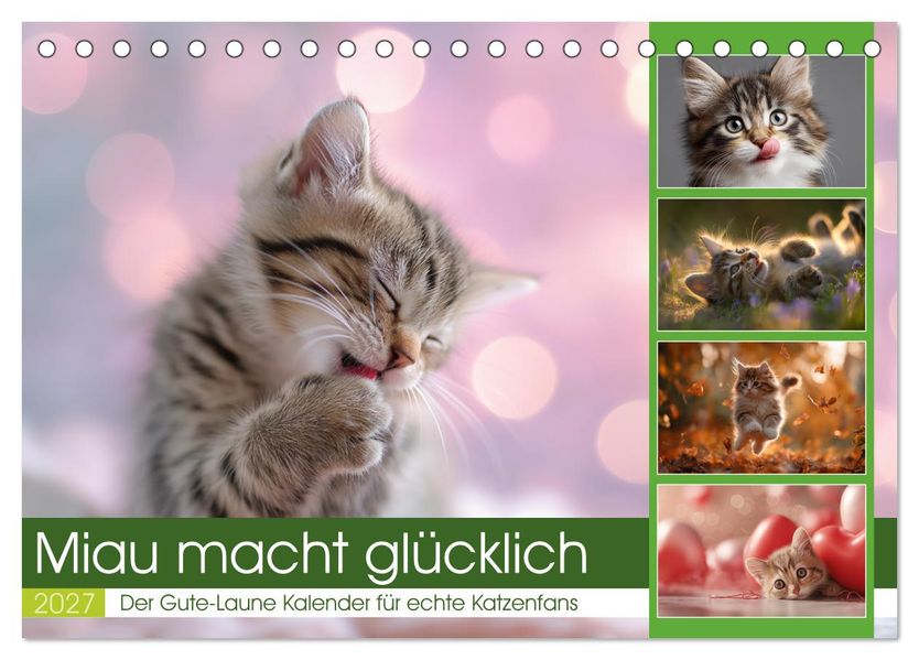 Miau macht glücklich (Tischkalender 2027 DIN A5 quer) CALVENDO Monatskalender