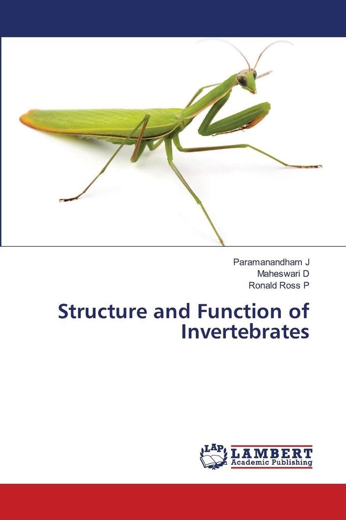 Structure and Function of Invertebrates