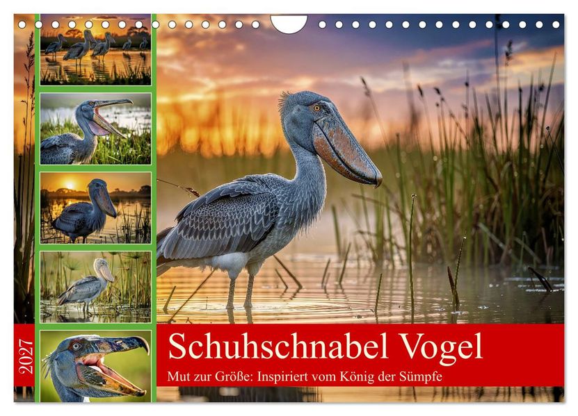 Schuhschnabel Vogel (Wandkalender 2027 DIN A4 quer) CALVENDO Monatskalender