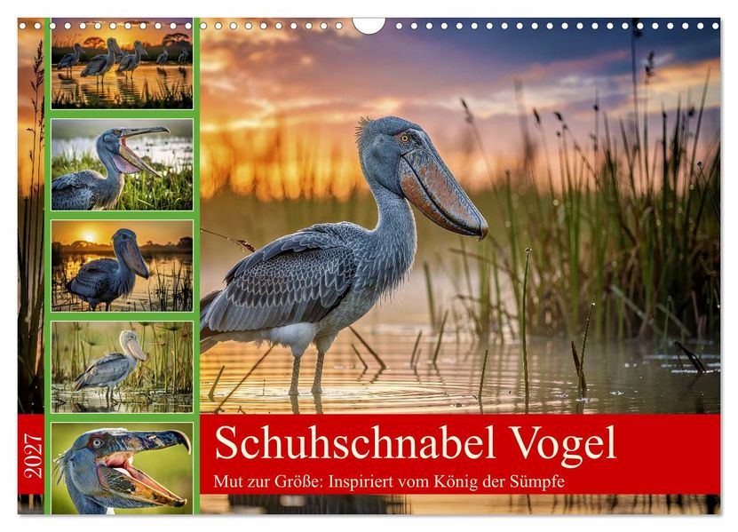 Schuhschnabel Vogel (Wandkalender 2027 DIN A3 quer) CALVENDO Monatskalender