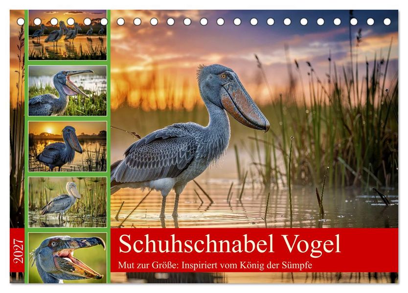 Schuhschnabel Vogel (Tischkalender 2027 DIN A5 quer) CALVENDO Monatskalender
