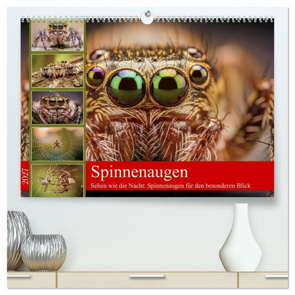Spinnenaugen (hochwertiger Premium Wandkalender 2027 DIN A2 quer) Kunstdruck in Hochglanz