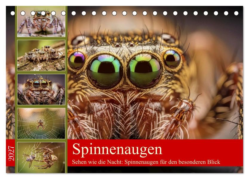 Spinnenaugen (Tischkalender 2027 DIN A5 quer) CALVENDO Monatskalender