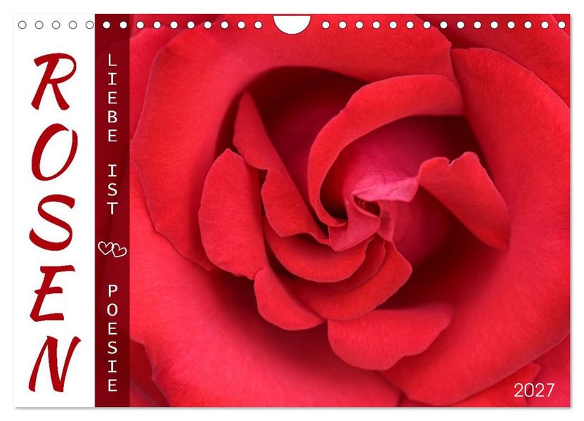 Rosen Liebe ist (Wandkalender 2027 DIN A4 quer) CALVENDO Monatskalender