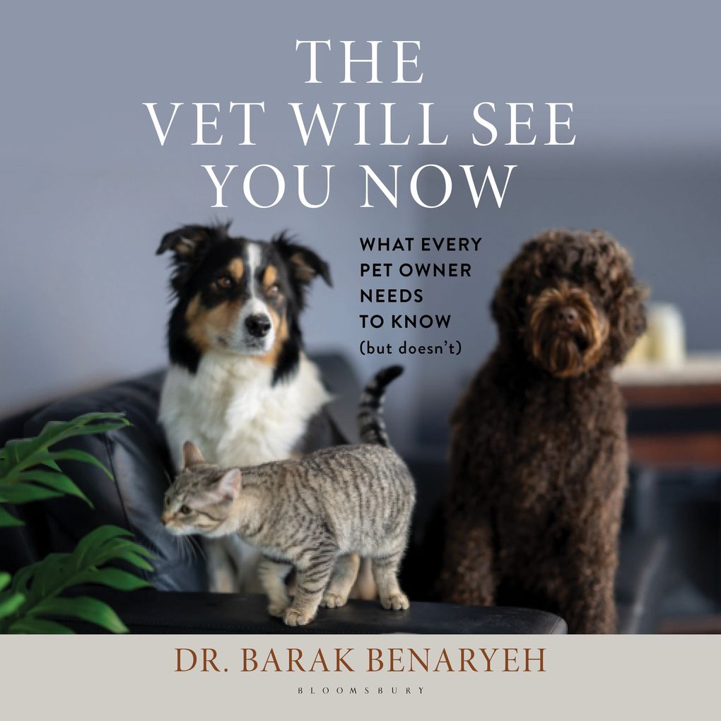 The Vet Will See You Now