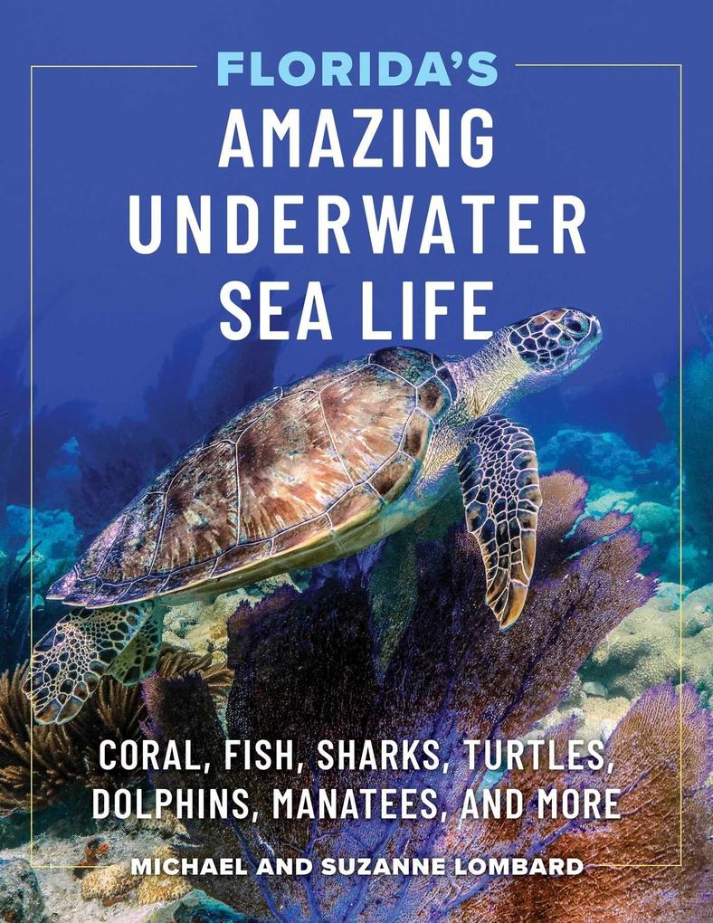 Florida's Amazing Underwater Sea Life