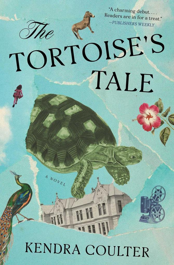 The Tortoise's Tale