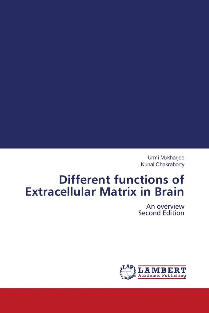 Different functions of Extracellular Matrix in Brain