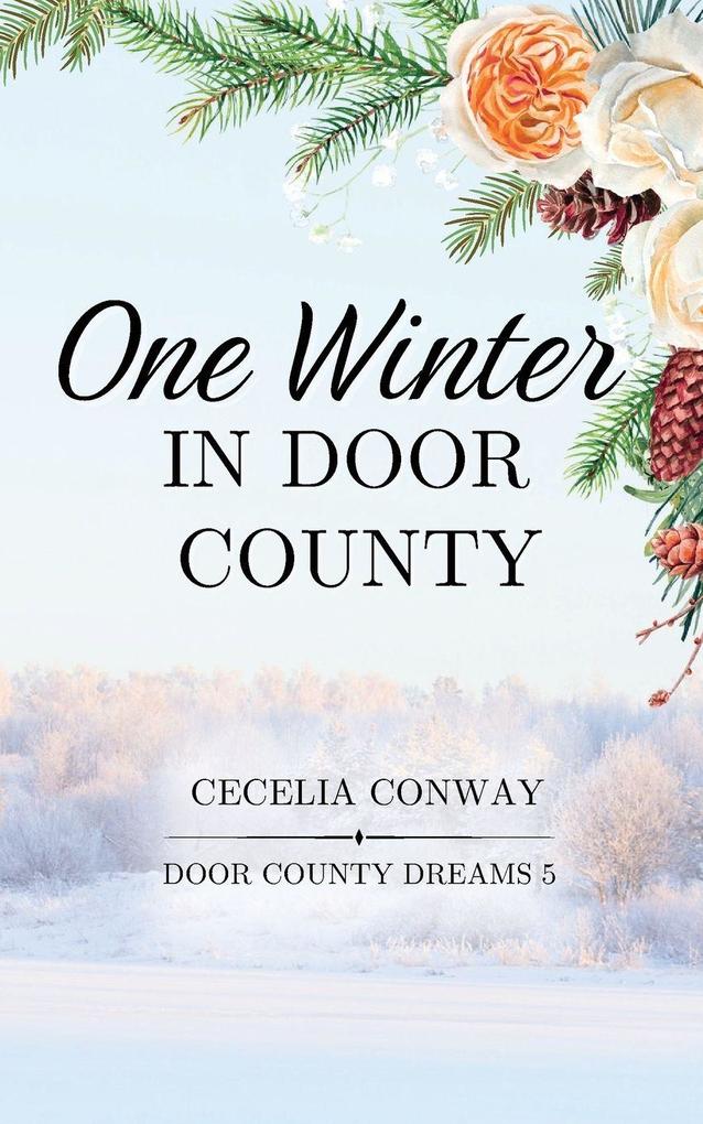 One Winter in Door County