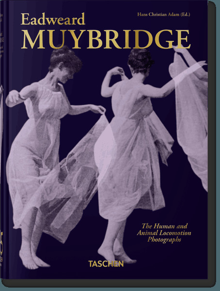 Muybridge