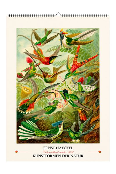 Ernst Haeckel. Kunstformen der Natur. Wandkalender 2027