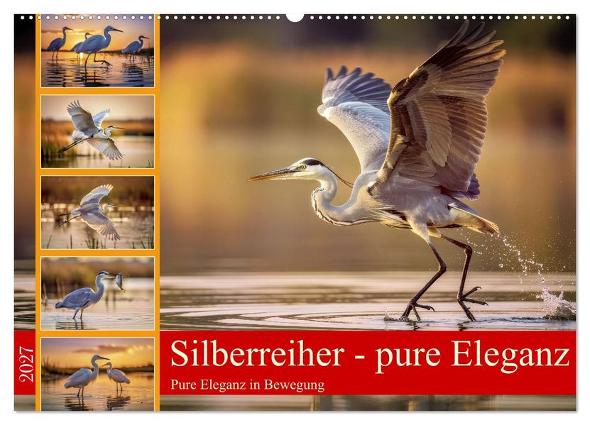 Silberreiher - pure Eleganz (Wandkalender 2027 DIN A2 quer) CALVENDO Monatskalender