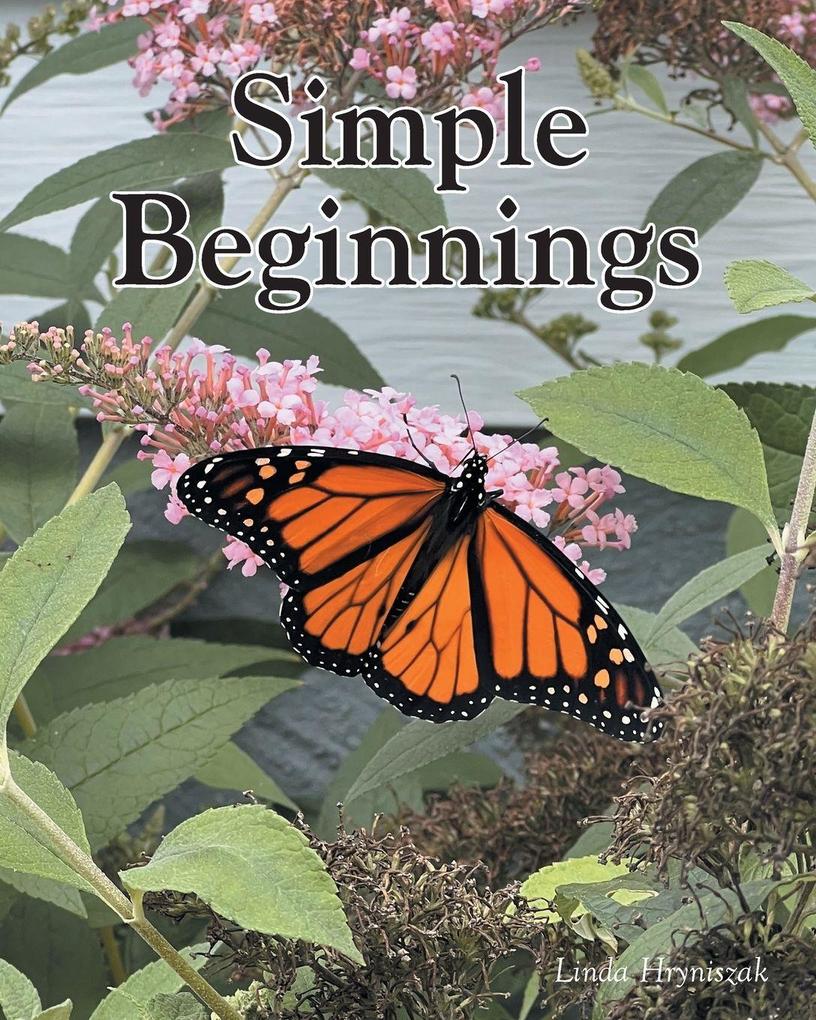 Simple Beginnings