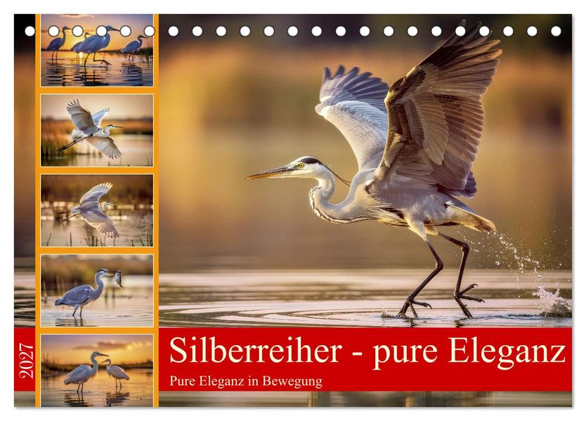 Silberreiher - pure Eleganz (Tischkalender 2027 DIN A5 quer) CALVENDO Monatskalender