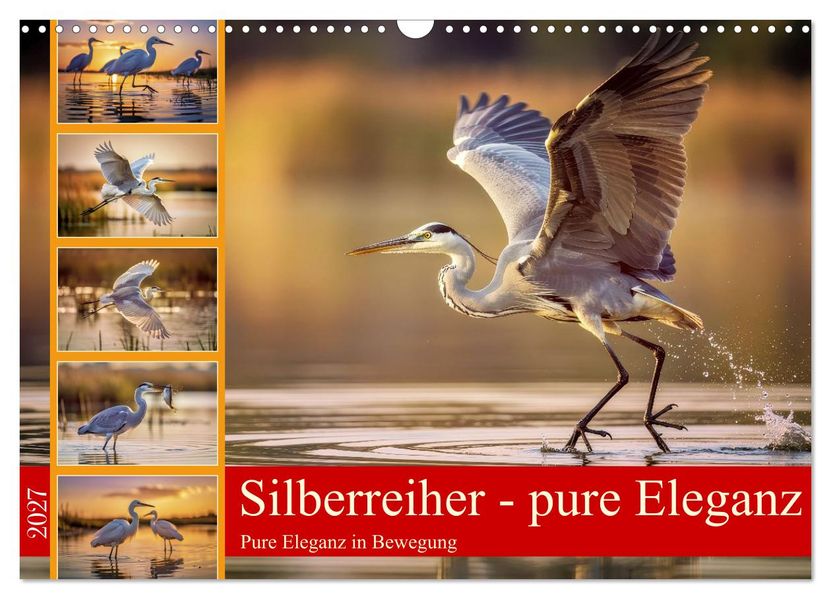 Silberreiher - pure Eleganz (Wandkalender 2027 DIN A3 quer) CALVENDO Monatskalender