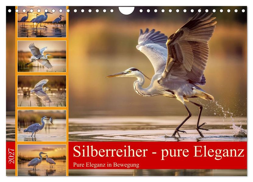 Silberreiher - pure Eleganz (Wandkalender 2027 DIN A4 quer) CALVENDO Monatskalender