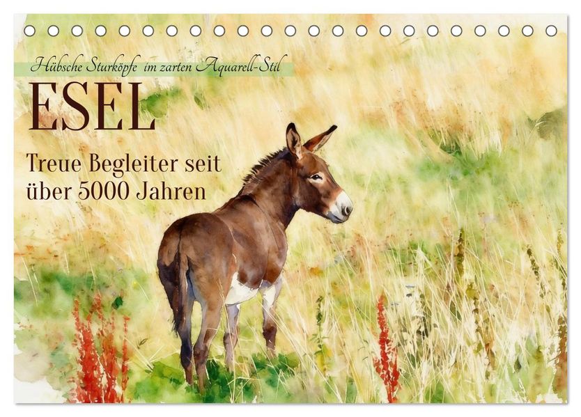 Esel - Treue Begleiter seit über 5000 Jahren (Tischkalender 2027 DIN A5 quer) CALVENDO Monatskalender