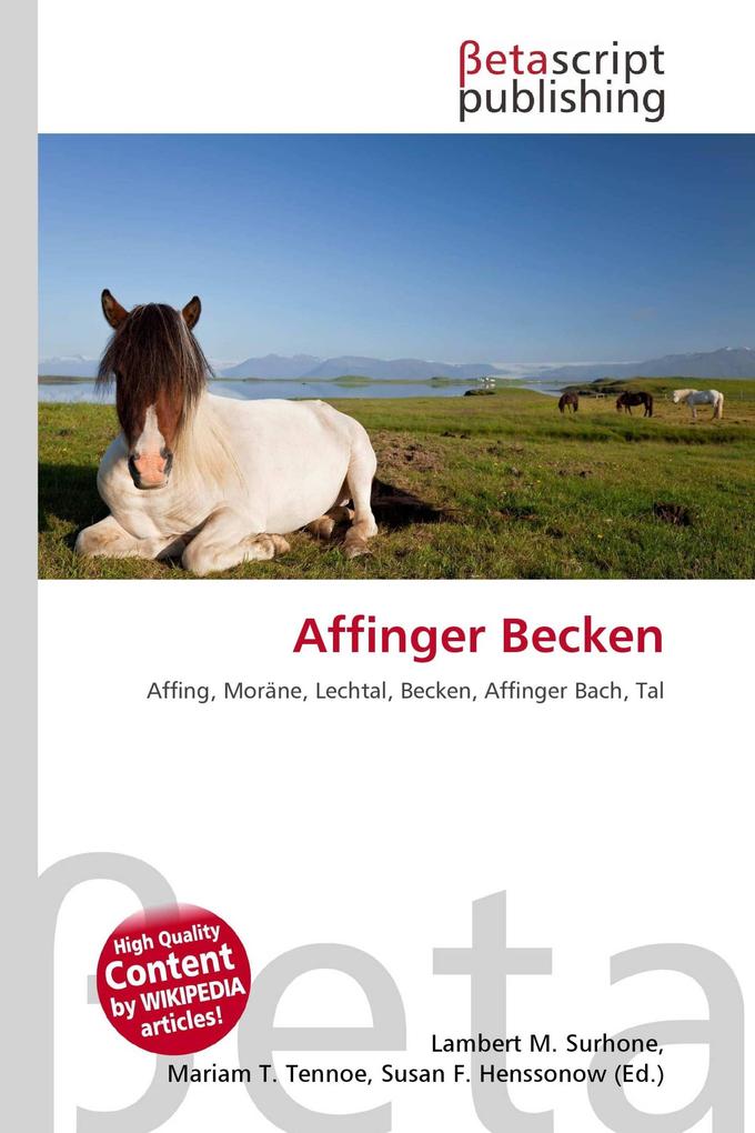 Affinger Becken