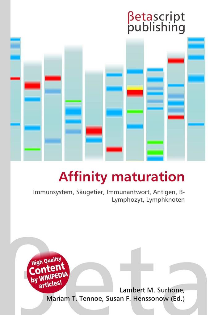 Affinity maturation