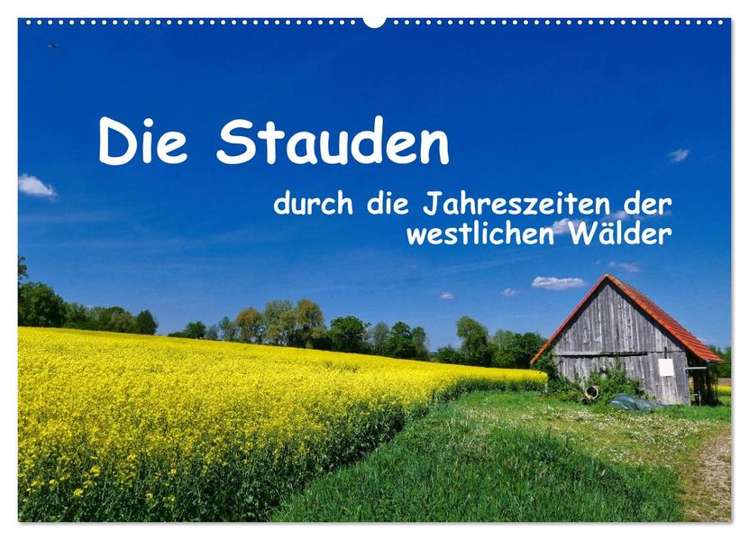 Die Stauden - durch die Jahreszeiten der westlichen Wälder (Wandkalender 2027 DIN A2 quer) CALVENDO Monatskalender