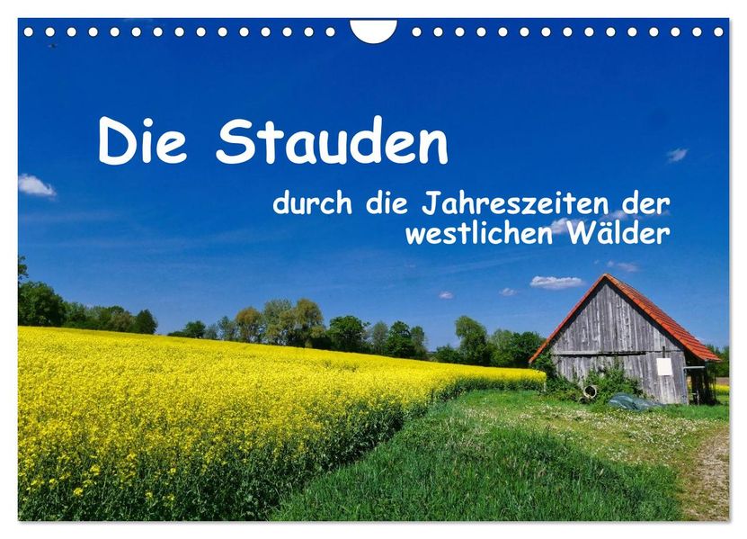 Die Stauden - durch die Jahreszeiten der westlichen Wälder (Wandkalender 2027 DIN A4 quer) CALVENDO Monatskalender