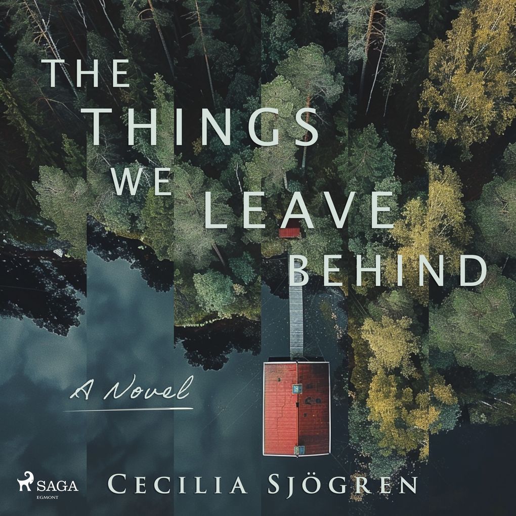 The Things We Leave Behind: A dual timeline literary thriller set in Sweden