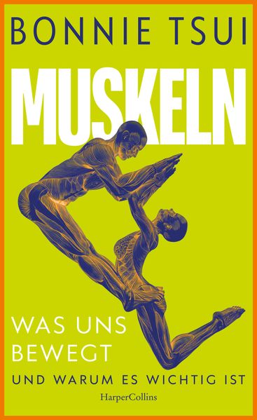 Muskeln. Was uns bewegt - und warum es wichtig ist
