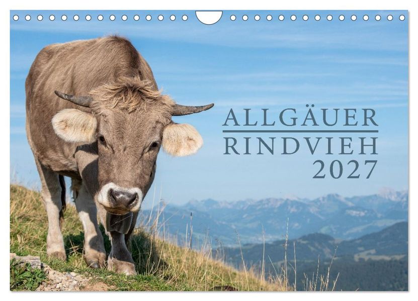 Allgäuer Rindvieh 2027 (Wandkalender 2027 DIN A4 quer) CALVENDO Monatskalender