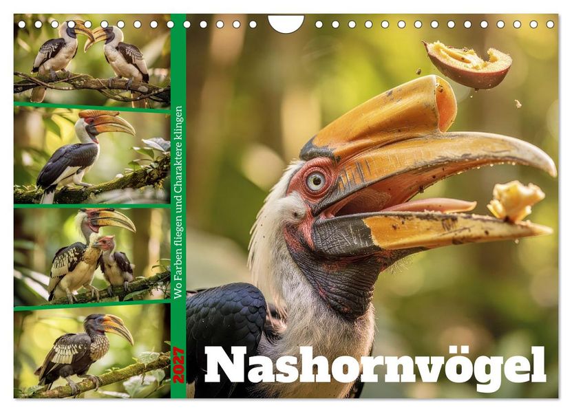 Nashornvögel (Wandkalender 2027 DIN A4 quer) CALVENDO Monatskalender