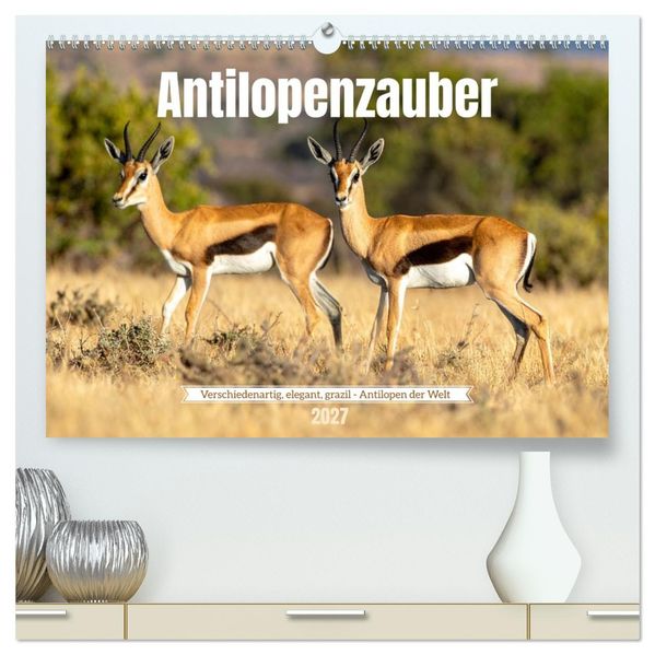 Antilopenzauber (hochwertiger Premium Wandkalender 2027 DIN A2 quer) Kunstdruck in Hochglanz