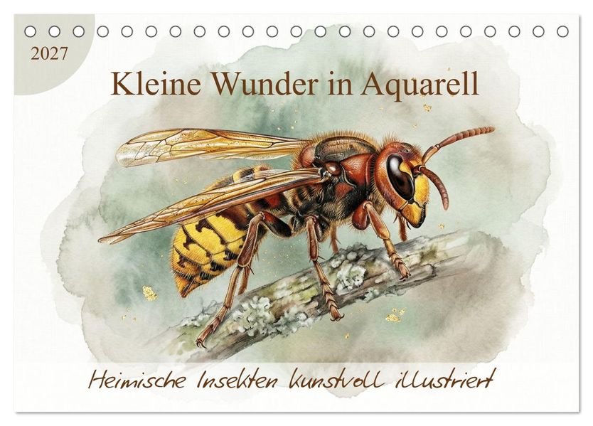 Kleine Wunder in Aquarell - Heimische Insekten kunstvoll illustriert (Tischkalender 2027 DIN A5 quer) CALVENDO Monatskalender